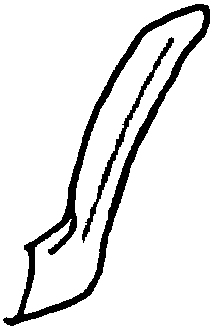 LEMFÖRDER 14240 01 Steinschlagschutz, Lenker