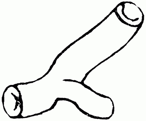 LEMFÖRDER 14301 01 Kühlerschlauch