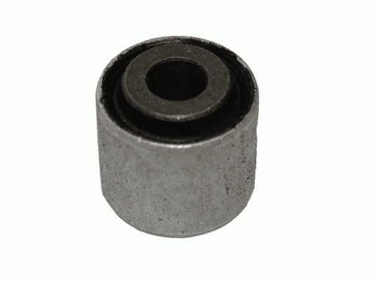 LEMFÖRDER 26599 01 Lagerung, Lenker