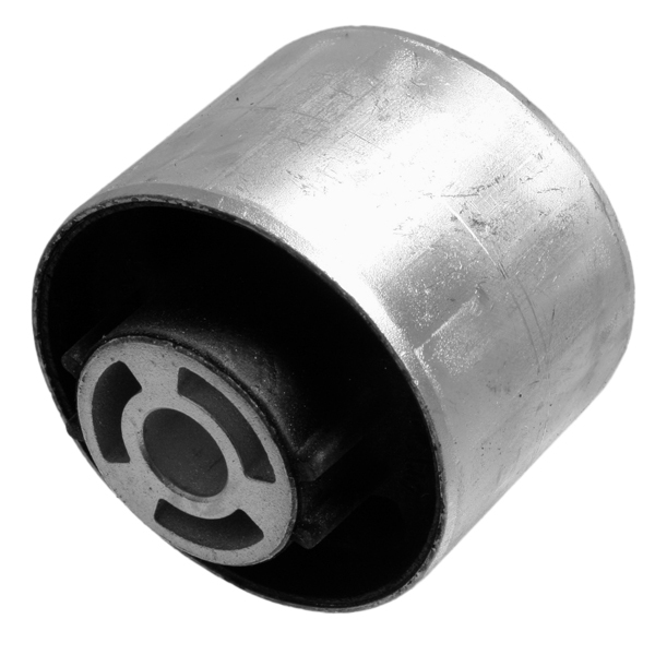 LEMFÖRDER 29920 01 Lagerung, Lenker
