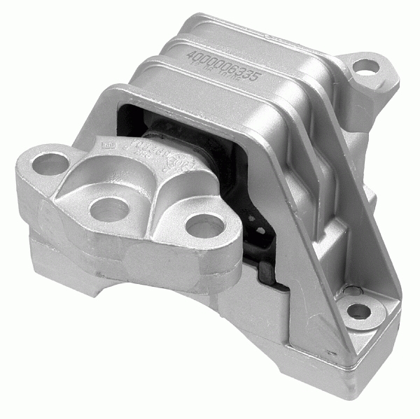 LEMFÖRDER 30437 01 Lagerung, Motor