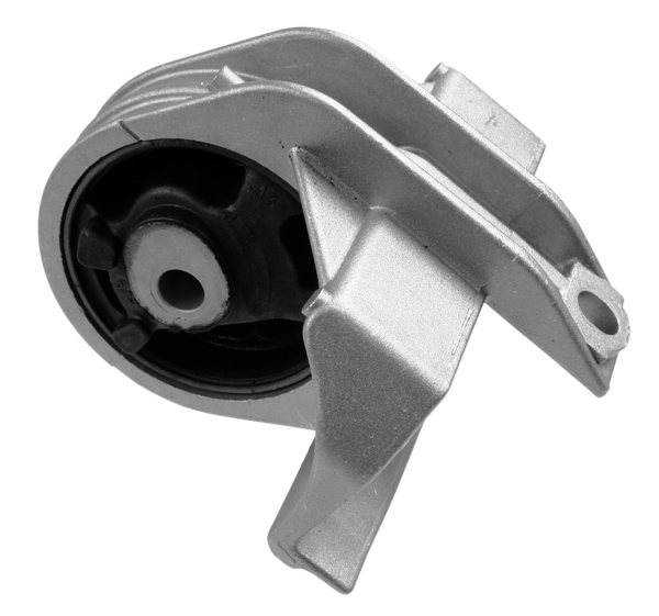 LEMFÖRDER 36466 01 Lagerung, Motor