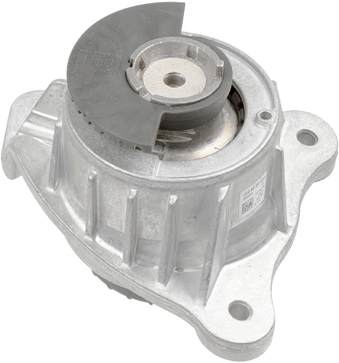LEMFÖRDER 39736 01 Lagerung, Motor