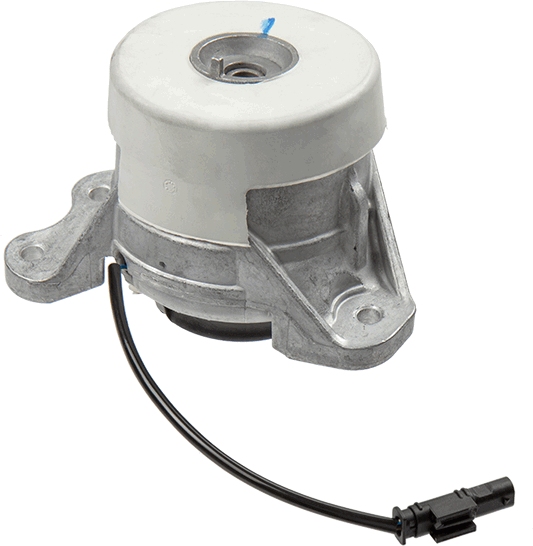 LEMFÖRDER 42528 01 Lagerung, Motor