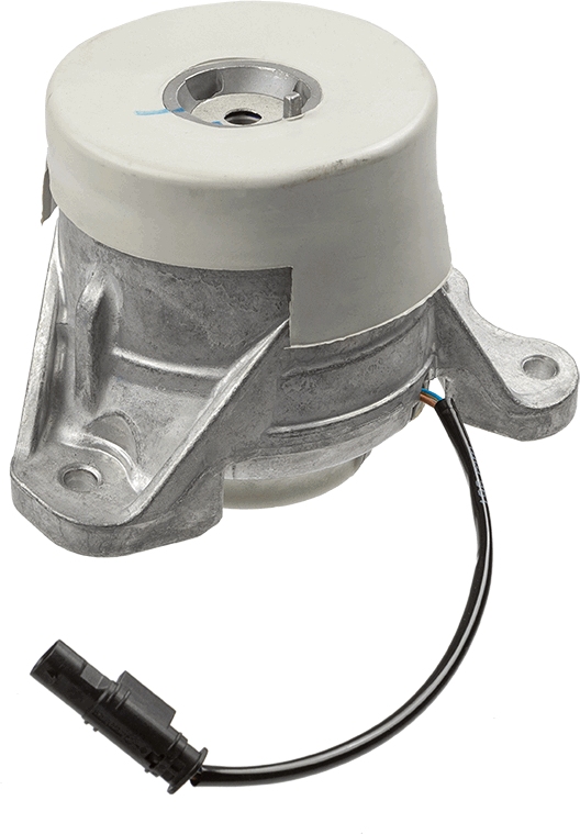LEMFÖRDER 42529 01 Lagerung, Motor
