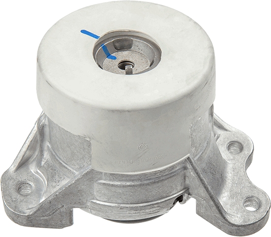 LEMFÖRDER 42530 01 Lagerung, Motor