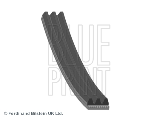 BLUE PRINT AD03R560 Cinghia Poly-V-Cinghia Poly-V-Ricambi Euro