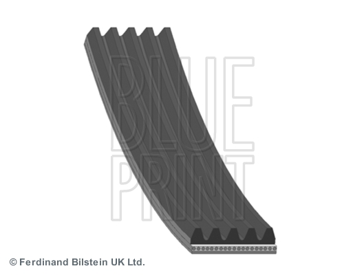 BLUE PRINT AD05R1080 Cinghia Poly-V-Cinghia Poly-V-Ricambi Euro