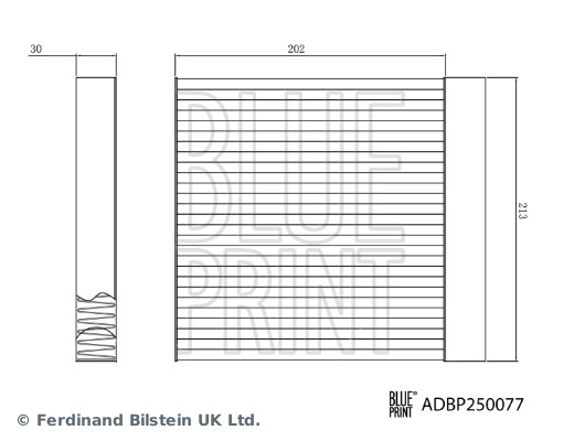 BLUE PRINT ADBP250077...