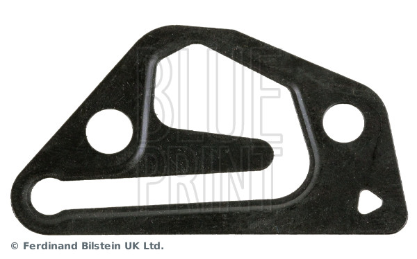 BLUE PRINT ADBP640019 Dichtung, Steuerkettenspanner