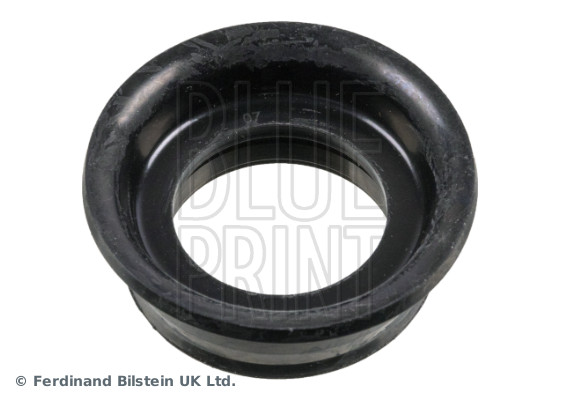BLUE PRINT ADBP670018 Dichtring, Kerzenschacht