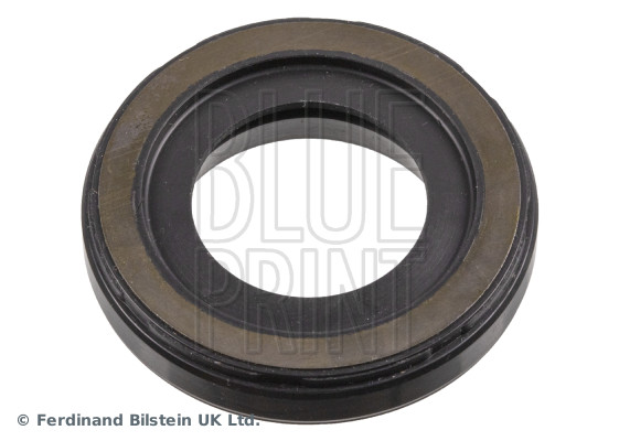 BLUE PRINT ADBP670022 Dichtung, Düsenschacht