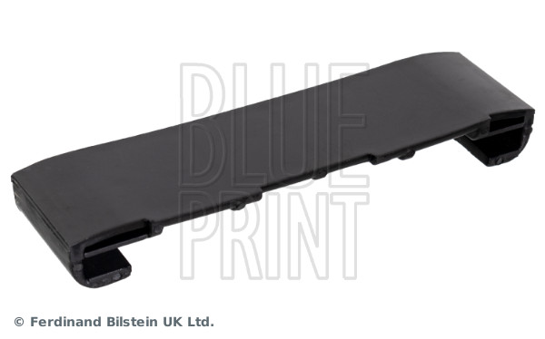 BLUE PRINT ADBP760116 Gleitschiene, Steuerkette