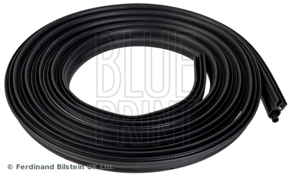 BLUE PRINT ADBP970012 Blue Print Solution Türdichtung