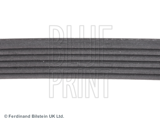 BLUE PRINT ADG09623 Keilrippenriemen