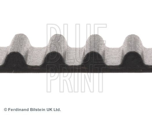 BLUE PRINT ADM57511 Cinghia dentata