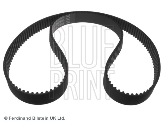 BLUE PRINT ADM57521 Cinghia dentata