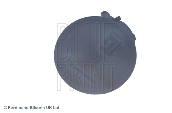 BLUE PRINT ADN12348 Filtro carburante