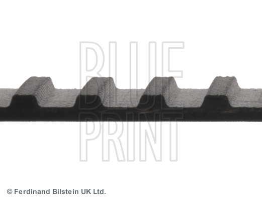 BLUE PRINT ADN17506 Cinghia dentata