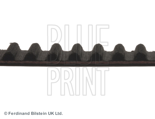 BLUE PRINT ADN17536 Cinghia dentata