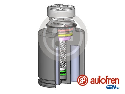 AUTOFREN SEINSA D025234LK Pistone, Pinza freno