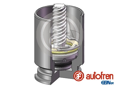 AUTOFREN SEINSA D02523K...