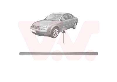 VAN WEZEL 5836403 Trim/Protection Strip, door