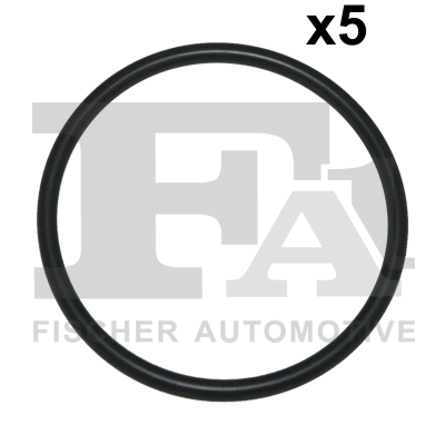 FA1 076.316.005 Dichtring