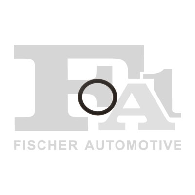 FA1 076.355.100 Dichtring