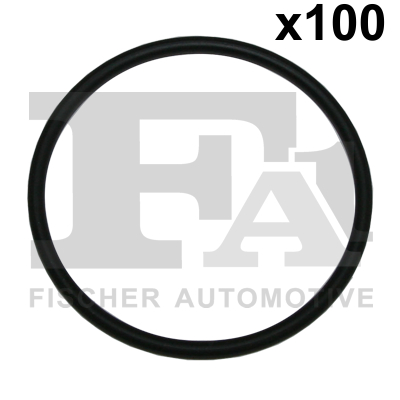 FA1 076.362.100 Dichtring