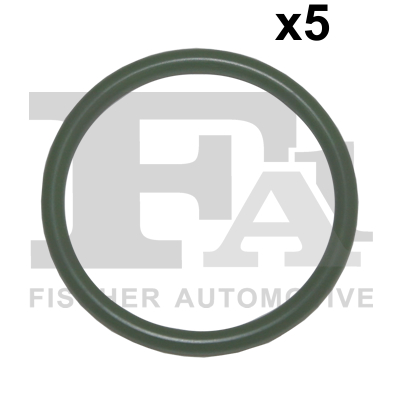 FA1 076.371.005 Dichtring