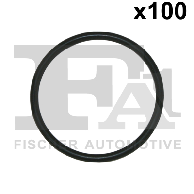 FA1 076.388.100 Dichtring