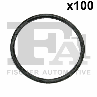 FA1 076.393.100 Dichtring