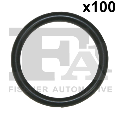 FA1 076.400.100 Dichtring, Lader