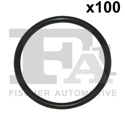 FA1 076.403.100 Dichtring