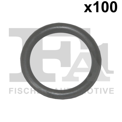 FA1 076.413.100 Dichtring