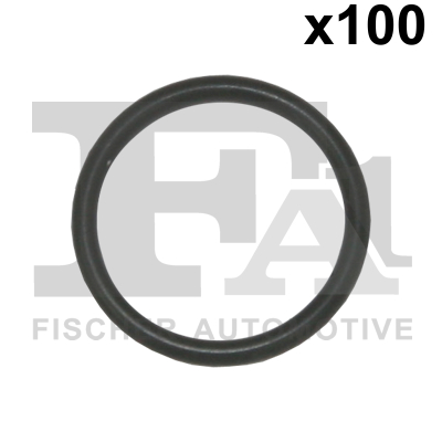 FA1 076.417.100 Dichtring, Lader