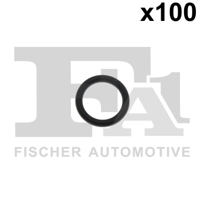 FA1 076.516.100 Dichtring, Lader