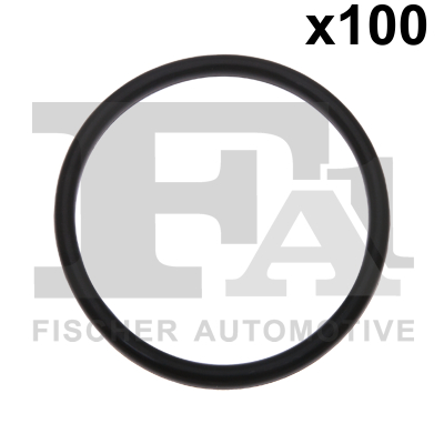 FA1 076.541.100 Dichtring