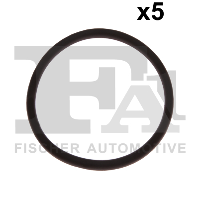 FA1 076.569.005 Dichtring