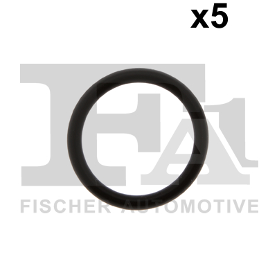 FA1 076.619.005 Dichtring