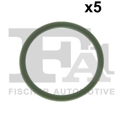 FA1 076.620.005 Seal Ring...