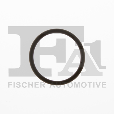 FA1 076.744.100 Dichtring