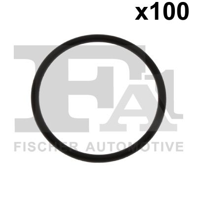 FA1 076.763.100 Dichtring