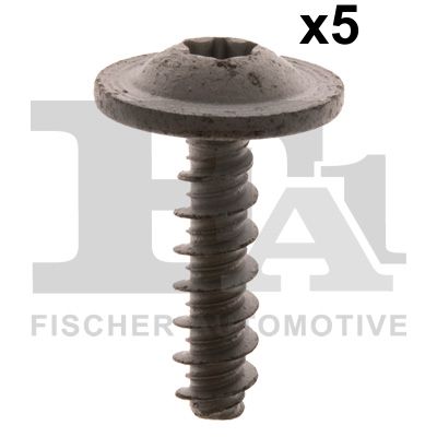FA1 10-70008.5 Screw