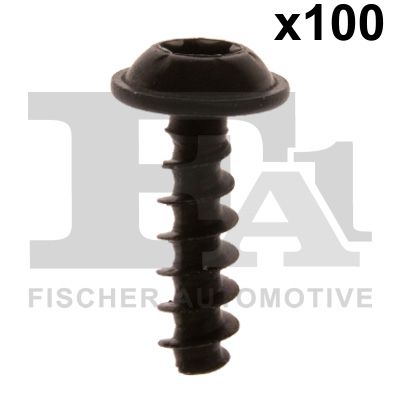 FA1 10-70010.100 Schraube