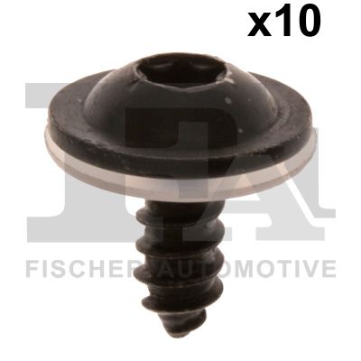 FA1 11-70017.10 Schraube