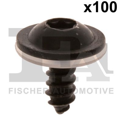 FA1 11-70017.100 Schraube
