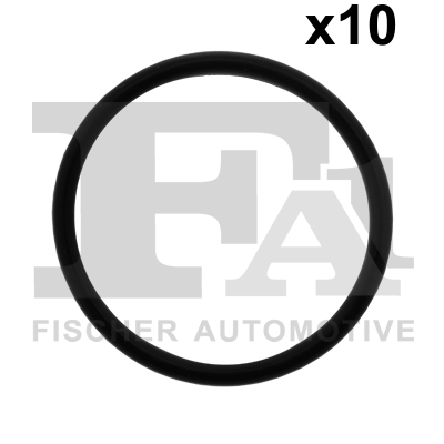 FA1 110.018.010 Dichtring