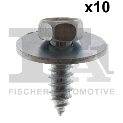 FA1 14-70002.10 Screw